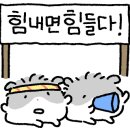 벨짐 이미지