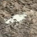 해게울 목장2 이미지