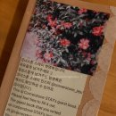 코너스톤 | 제주도여행, 코너스톤스테이, 에어비앤비,제주도 숙소