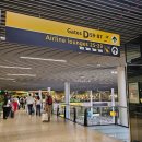 꿀잠자리 호스텔 | 차]KLM 타고 암스테르담에서 뮌헨 가기, 뮌헨 움밧 호스텔 동역점, 뮌헨 레지덴츠, 알테 피나코테크...