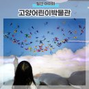 신장_어린이3호(꿈동산) | 고양어린이박물관 예약 일산 아이와 주말이용팁
