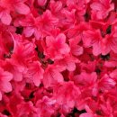 낭독샤워 이미지