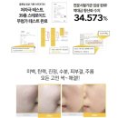코끼리라이브