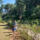 잣향기푸른숲 유아숲체험원 이미지