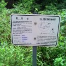 창안농로 이미지