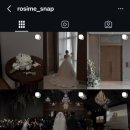 디카플러스 | 욕망의 항아리 예신의 아이폰 스냅 비교 | 빈티지 디카 · 폴라로이드 (채월스냅, 로지미스냅, 무아르...