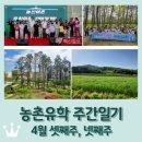 4월 셋째주,넷째주 / 보성 농산어촌 유학마을 한마음 대회(입주식) / 보성강 플로깅 / 김포와 서울에서...