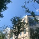 모쿠슈라 이미지