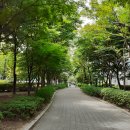 신나무실육교 이미지