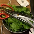 조박집투 이미지