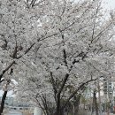 칠곡운암역(지상철3호선) 이미지