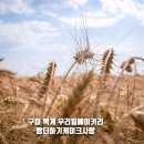 빵더하기케이크사랑