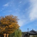 고가네빵이야기 | 2025년 가을, 딸이랑 함께한 백제의 도시 공주로 처음 떠난 여행