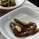 거북곰장어 이미지