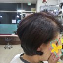 엘림헤어샵 네이버블로그