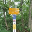 미 in 뷰티 이미지