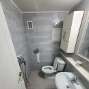 국화동성 이미지