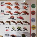 어진동_정부세종청사 체육관 공원 | 스시이조 | 세종시 어진동 정부세종청사 근처 회전초밥 맛집