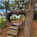 스카이앤오션 빌리지 | [제주도바베큐펜션]비스비제주 앤 팜빌리지,가족들과 행복한 시간보낸 후기