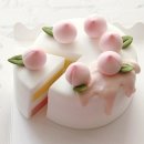 햇살찬농장 이미지