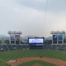 만두데이 | 중앙네이비 318구역 16열 159, 160 시야 / 렛두로데이 / 수내닭꼬치 / 명인만두 / 백미당 / 와팡 후기