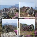 합동수도사