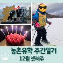 커피베이 보성녹차센터점 | 보성 농촌유학 주간일기 12월 넷째주 / 스키캠프 / 남편과 함께하는 크리스마스 / 해남 땅끝마을