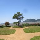 선월농장 이미지