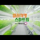 다큐감상.KBS스페셜-식물공장,2018년5월4일 방영 이미지