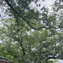 암곡와동 이미지