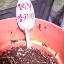 풀솜인테리어