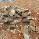 풍년농장 이미지