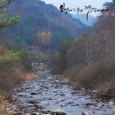 봉달이포차 | 홍천(2012.11.10-11)오지캠핑[봉달이&amp;루라]