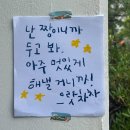 수정메디 이미지