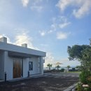 평대살래 이미지