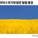 밀밭으로 - 장흥군 | 밀밭으로