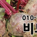 하우스콜 이미지