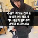 블리독수원점 고양이강아지분양 미니비숑프리제말티푸포메입양 | 수원의 귀여운 친구들 블리독수원점에서 미니비숑과 말티푸의 매력에 빠져보세요