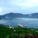 장백산 - 안산시 상록구 안산대학로 101 | 장백산