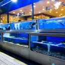 유성왕수산 이미지