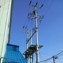 녹지태양광발전소 이미지