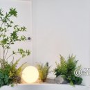 조경꾼 네이버블로그