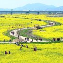 낙동강관리본부 대저생태공원 3 이미지