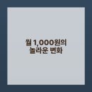 뜻밖의 발견 이미지