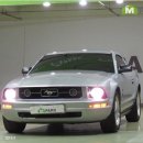 드림카오토밋션 | 머스탱쿠페 2007년 8월식