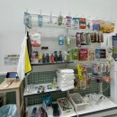 진이네 강아지풀 이미지