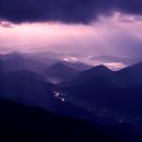 창영농원 이미지