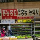 대성만물 이미지