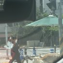 20240422-0428 : 도대체 4월 22일~ 주차 일기를 5월 23일에 쓰는 나란사람