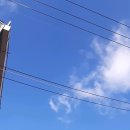 동방약국 이미지